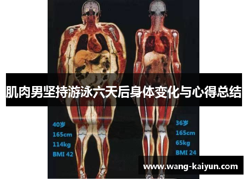 肌肉男坚持游泳六天后身体变化与心得总结