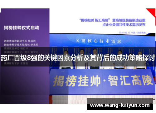 药厂晋级8强的关键因素分析及其背后的成功策略探讨