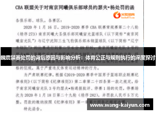 魏震禁赛处罚的背后原因与影响分析：体育公正与规则执行的深度探讨