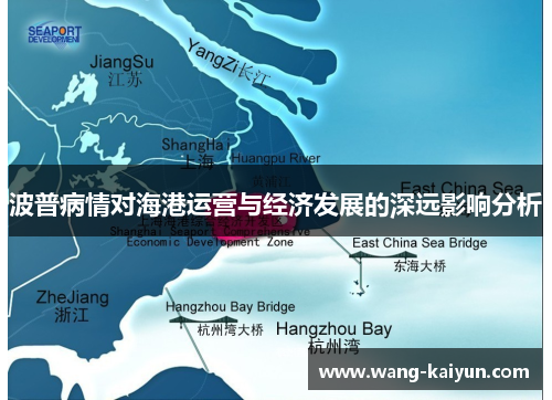 波普病情对海港运营与经济发展的深远影响分析