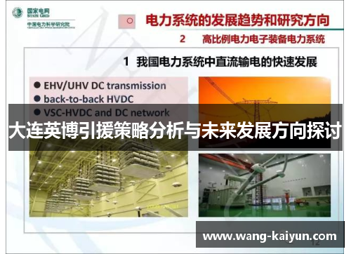 大连英博引援策略分析与未来发展方向探讨