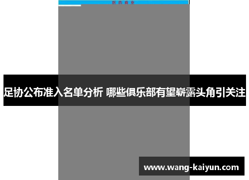 足协公布准入名单分析 哪些俱乐部有望崭露头角引关注