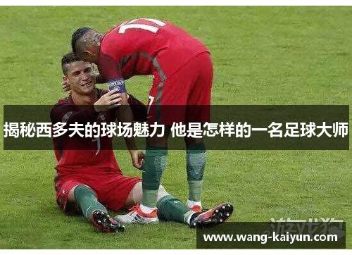揭秘西多夫的球场魅力 他是怎样的一名足球大师
